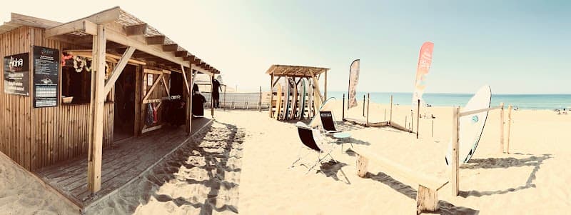 Photo de Aloha Surf School