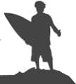 Logo Paradise Surf School