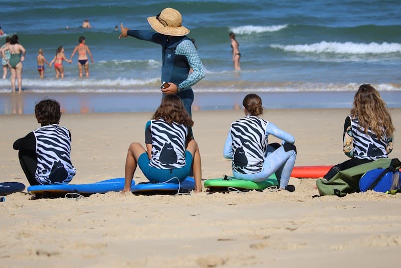 Photo de Cool Cat Surf Academy