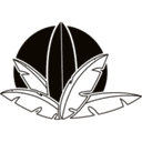 Logo ADRIEN RAPP SURF EVOLUTION