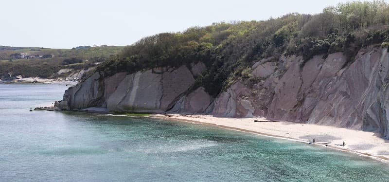 Photo de Aquality School