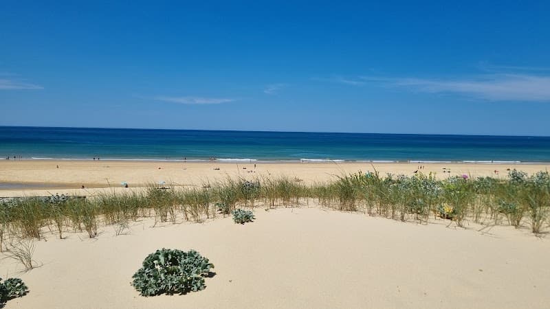 Photo de Lespecier surf school