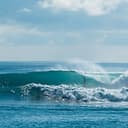 Logo Mad wax surf school