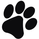 Logo Minou Surf School