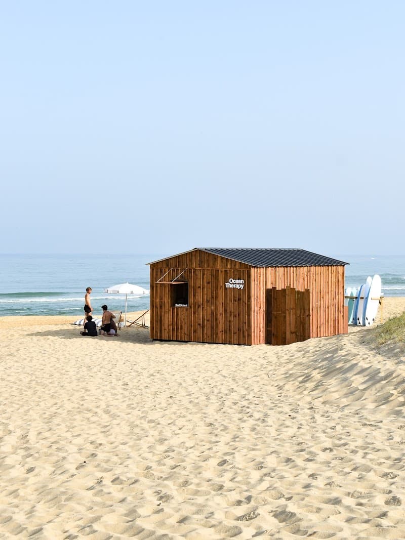 Photo de Ocean Therapy Surf School