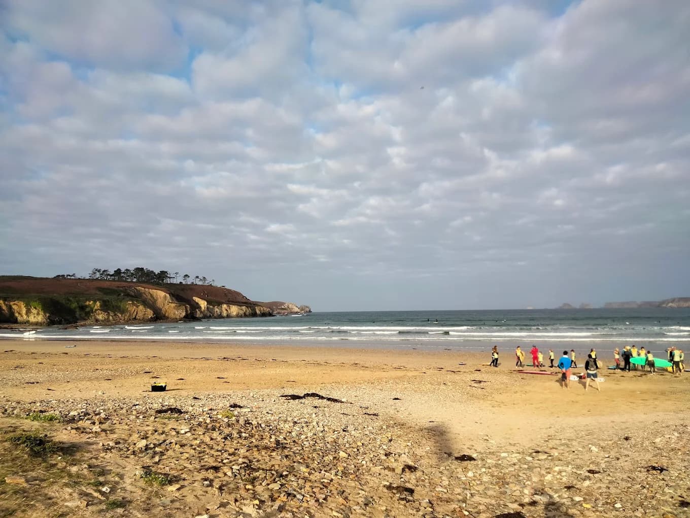 Photo de Surfing Sardine