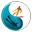 Logo Aquality School Bidart-Guéthary